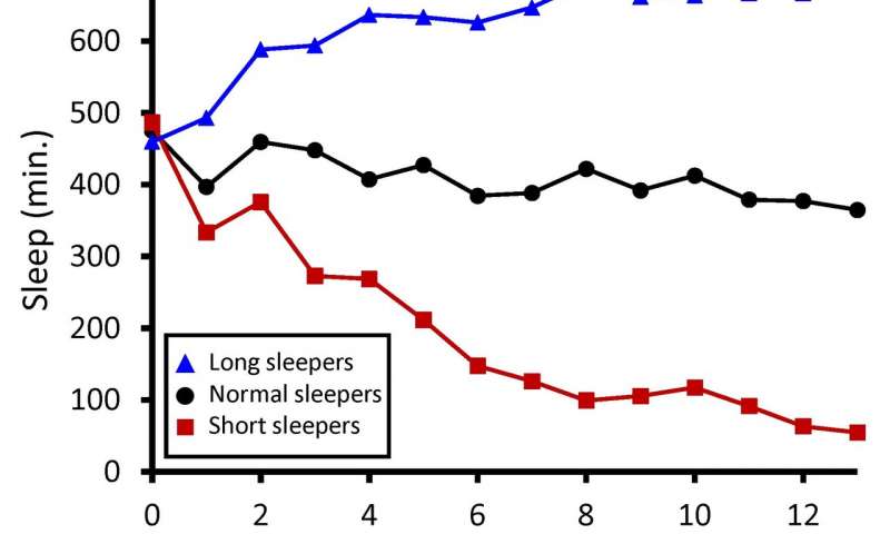 研究人员探索睡眠持续时间背后的复杂遗传网络
