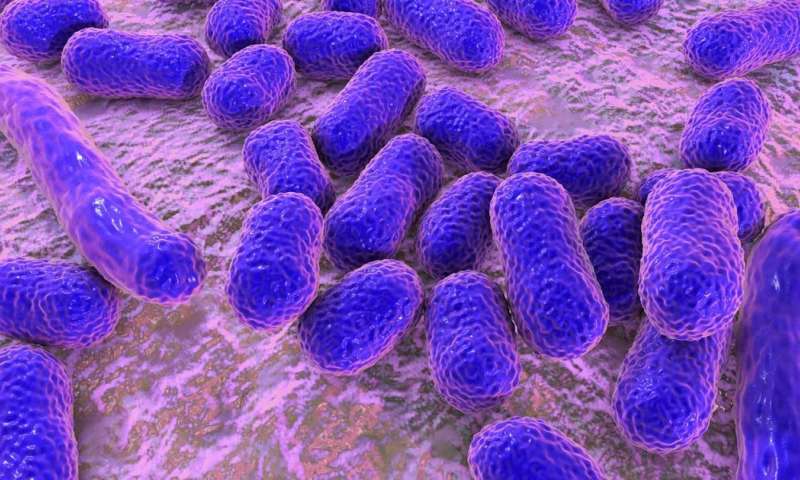 重新编程细菌而不是杀死它们可能是抗生素耐药性的答案