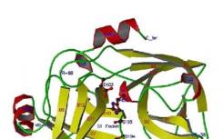 科学家开发出新的方法来识别蛋白质的重要​​未被发现的功能