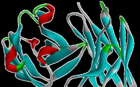 抑制核糖体生物发生作为晚期癌症的新治疗策略