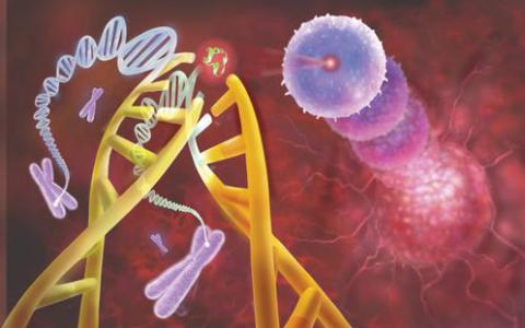 绘制癌糖基因的进化历史