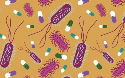 新策略可以使现有药物杀死导致慢性感染的细菌