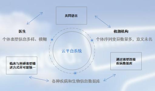 计算工具使用患者的基因组数据来找到膀胱癌的最佳治疗方法