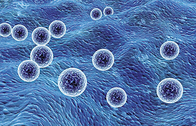 计算机化生物学或如何用计算机控制细胞群