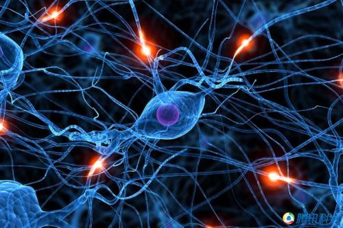 神经细胞电压检测可能会导致神经系统疾病的新疗法