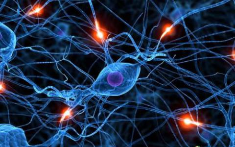 神经细胞电压检测可能会导致神经系统疾病的新疗法