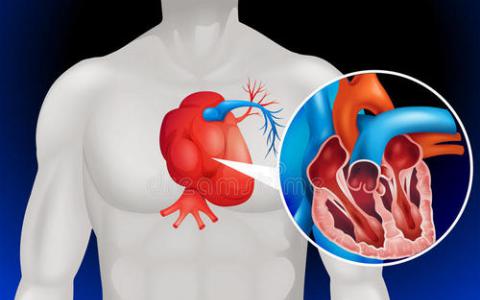 心脏病预防可能与罕见的基因突变有关