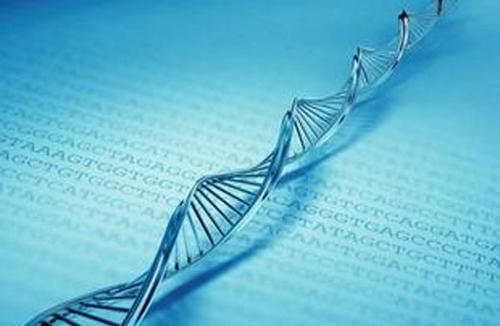 什么基因和基因组揭示了我们的健康