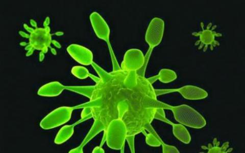 研究提供了关于两种蛋白质如何帮助甲型流感病毒对抗细胞的见解