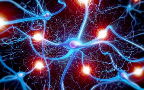 研究人员开发了一种用于培养大量神经干细胞的凝胶