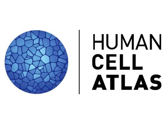 国际人类细胞图谱公布了战略蓝图宣布了首百万个细胞的数据