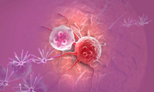 通过关注蛋白质-蛋白质相互作用靶向癌细胞