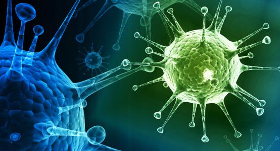 研究人员实时绘制甲型流感病毒的毒力因子
