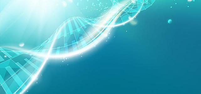 科学家们揭示了DNA如何组织和保存遗传信息