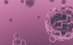 研究人员解释了分子护送如何帮助预防癌症