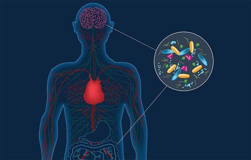 抗生素如何导致肠道细菌选择