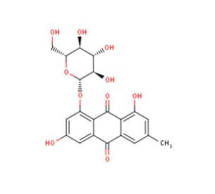 生物加工工程师从油籽粕中回收硫代葡萄糖苷