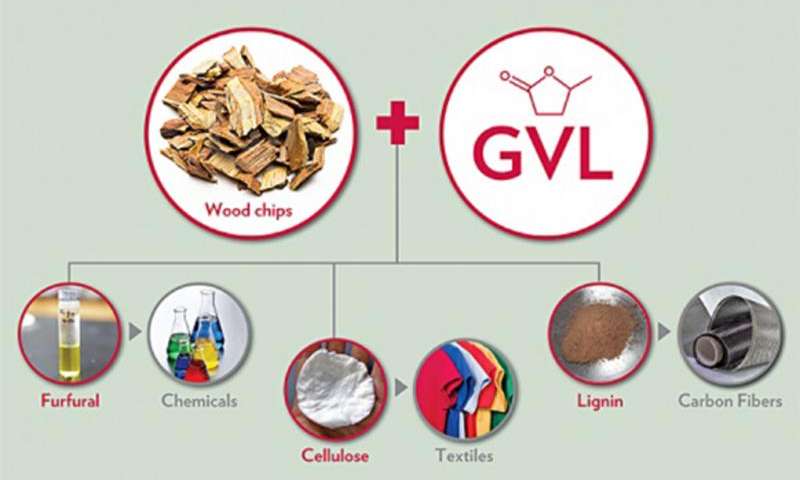 研究人员通过新战略将80％的生物质转化为高价值产品