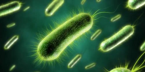 科学家发现可视化并杀死抗生素抗性超级细菌的新化合物