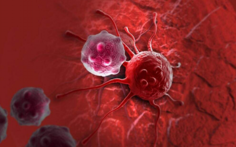 研究人员发现一部分癌细胞的意外生存机制