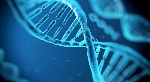 DNA纳米管治愈自己