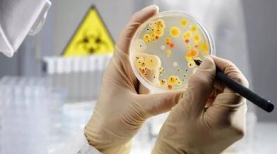 未来10年人类微生物组研究的重点