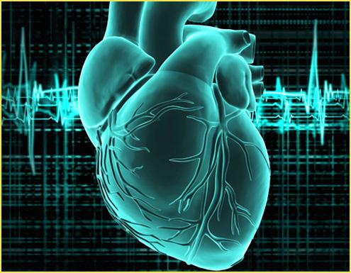 研究揭示了在压力衰老过程中如何改变产生健康心脏组织的遗传信息