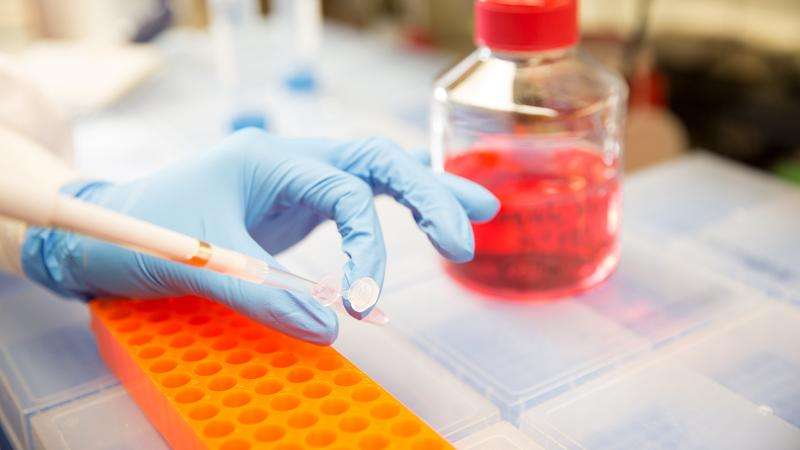 在用于研究的细胞中常用抗生素可能会扭曲测试