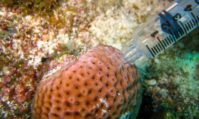 正如托尔斯泰所指出的那样所有不快乐的微生物组都以自己的方式不满意