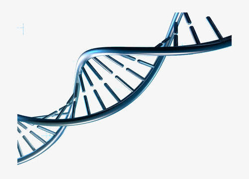 科学家首先拍摄了一个在100摄氏度下运行的分子螺旋桨的快照