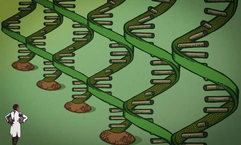 一种新技术可以帮助研究人员研究微小的生物过程