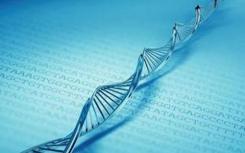 新的存储库可以轻松交换用于基因组研究的机器学习模型