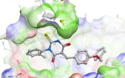 研究人员发现了抗击自身免疫的新分子靶点