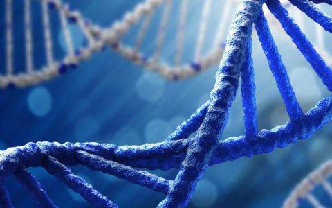 引入“黑暗DNA”这种现象可能会改变我们对进化的看法