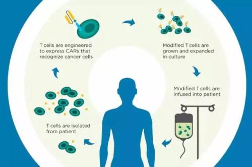 改善针对实体瘤的CAR T免疫疗法结果
