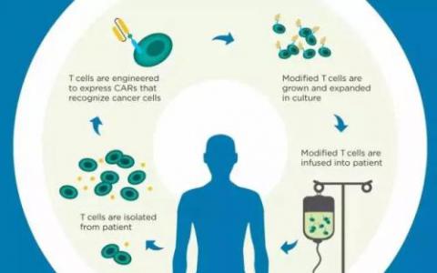 改善针对实体瘤的CAR T免疫疗法结果
