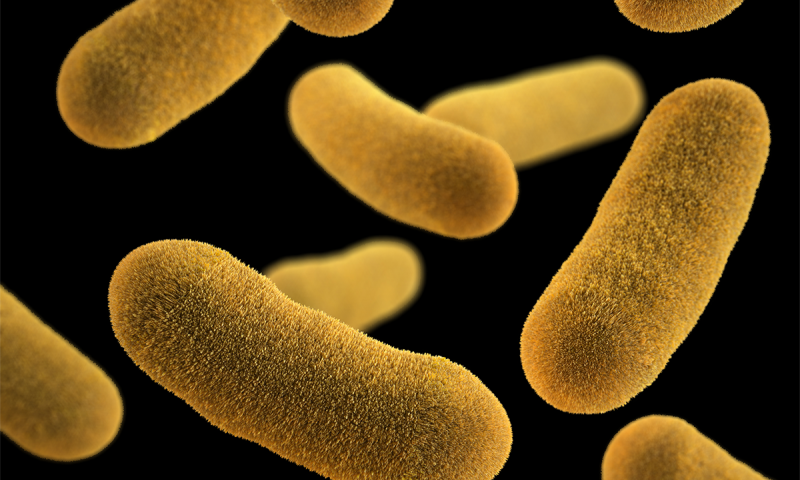 研究人员报告说减缓危险细菌可能比杀死它们更有效