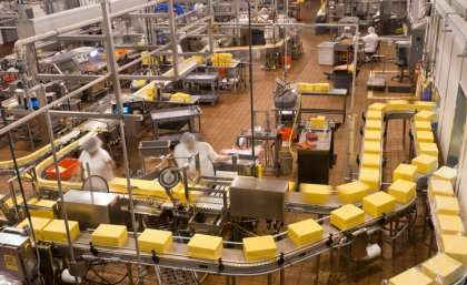 研究人员解开奶酪制作的秘密