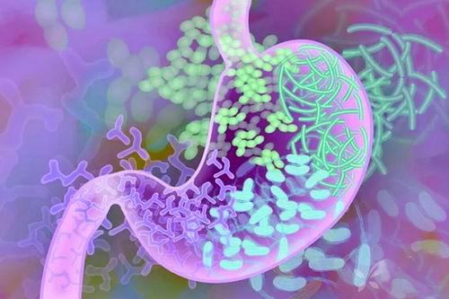 通过肠道细菌及其基因定位人类微生物组药物代谢