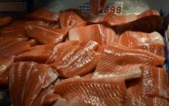 加拿大出售转基因鲑鱼警告环保主义者
