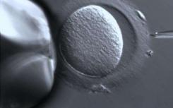 用CRISPR编辑人类胚胎正在向前发展-现在是制定道德规范的时候了
