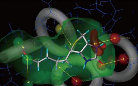 显微镜技术的结合揭示了关键蛋白质复合物的三维结构
