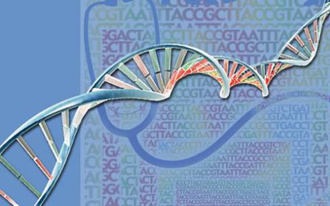 研究人员在丹麦对150个基因组进行测序和从头组装