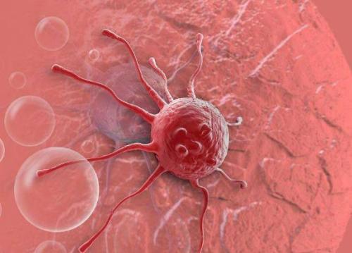 DNA Nanorobots寻找乳腺癌细胞