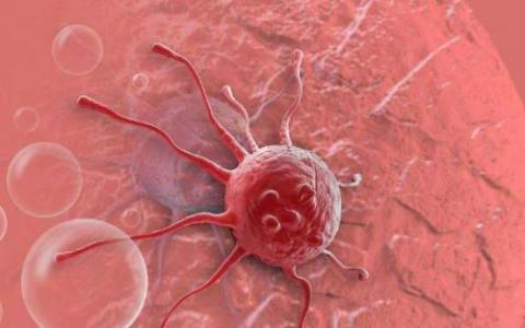 DNA Nanorobots寻找乳腺癌细胞