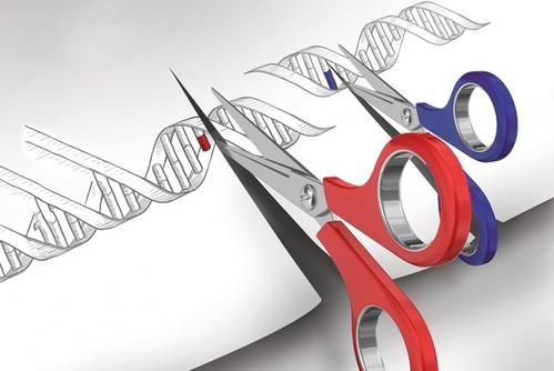 Vertex增加基因编辑存在获得Exonics并扩展CRISPR治疗协作