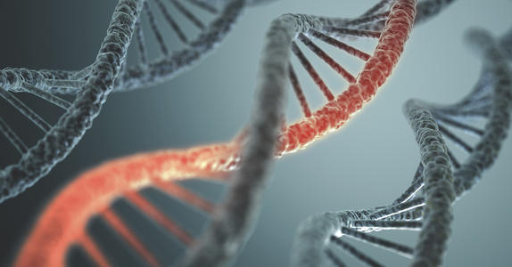 研究人员表示人体是DNA突变的镶嵌图案