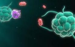 氦离子揭示了病毒如何攻击细菌