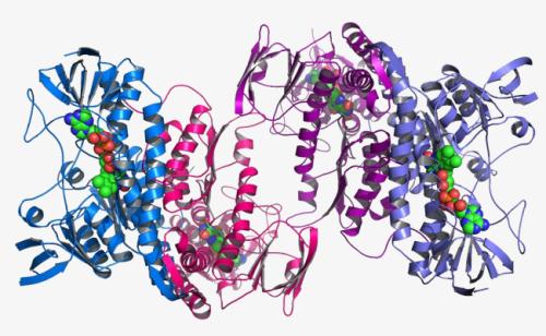 快速绘制蛋白质“社会网络”的新方法