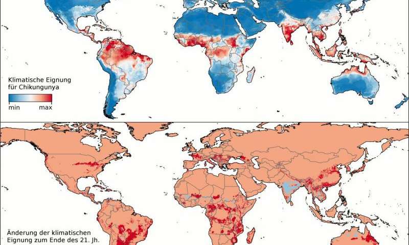 研究人员探讨气候变化是否会将热带病毒带到欧洲
